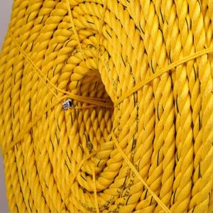 SMART AGRI PP ROPE PP Finish Goods Film Grade vapi gujarat india Plastic4trade