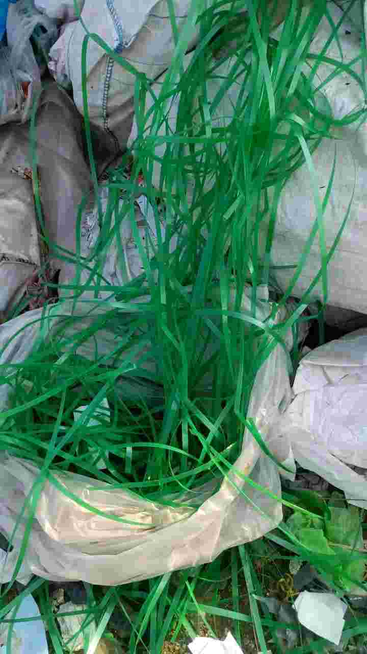 STRAPPING PATI SCRAP PP Scrap Film Grade morbi gujarat india Plastic4trade