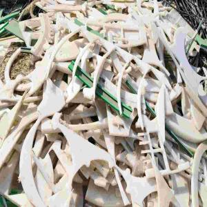 UHMW SHEET SCRAP,UHMW,SHEET,INJECTION MOLDING UHMW Scrap Injection Molding ahmedabad gujarat india Plastic4trade