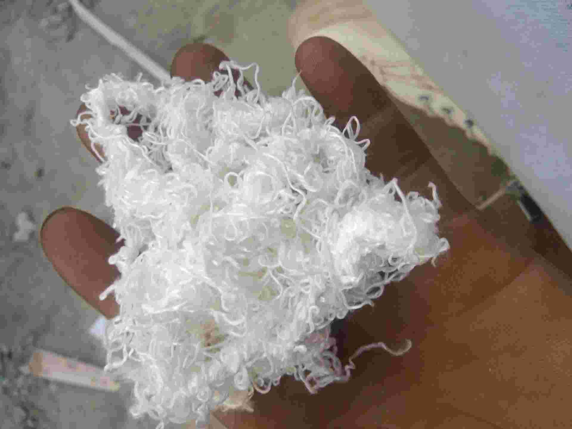 WATERJET POLYESTER WASTE PET Scrap Monofilament panipat haryana india Plastic4trade