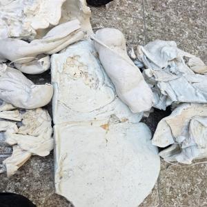 WHITE PET LUMPS PET Lumps Blow morbi gujarat india Plastic4trade