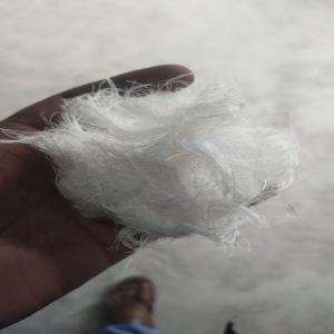WHITE POLYESTER YAN POLYESTER Scrap Extrusion Film Grade surat gujarat india Plastic4trade