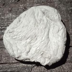 WHITE PP LUMP PP Lumps RAFFIA surat gujarat india Plastic4trade