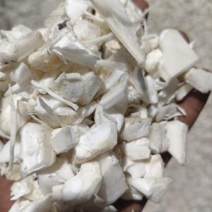 WHITE PPCP  GRINDING PPCP Grinding Injection Molding surat gujarat india Plastic4trade