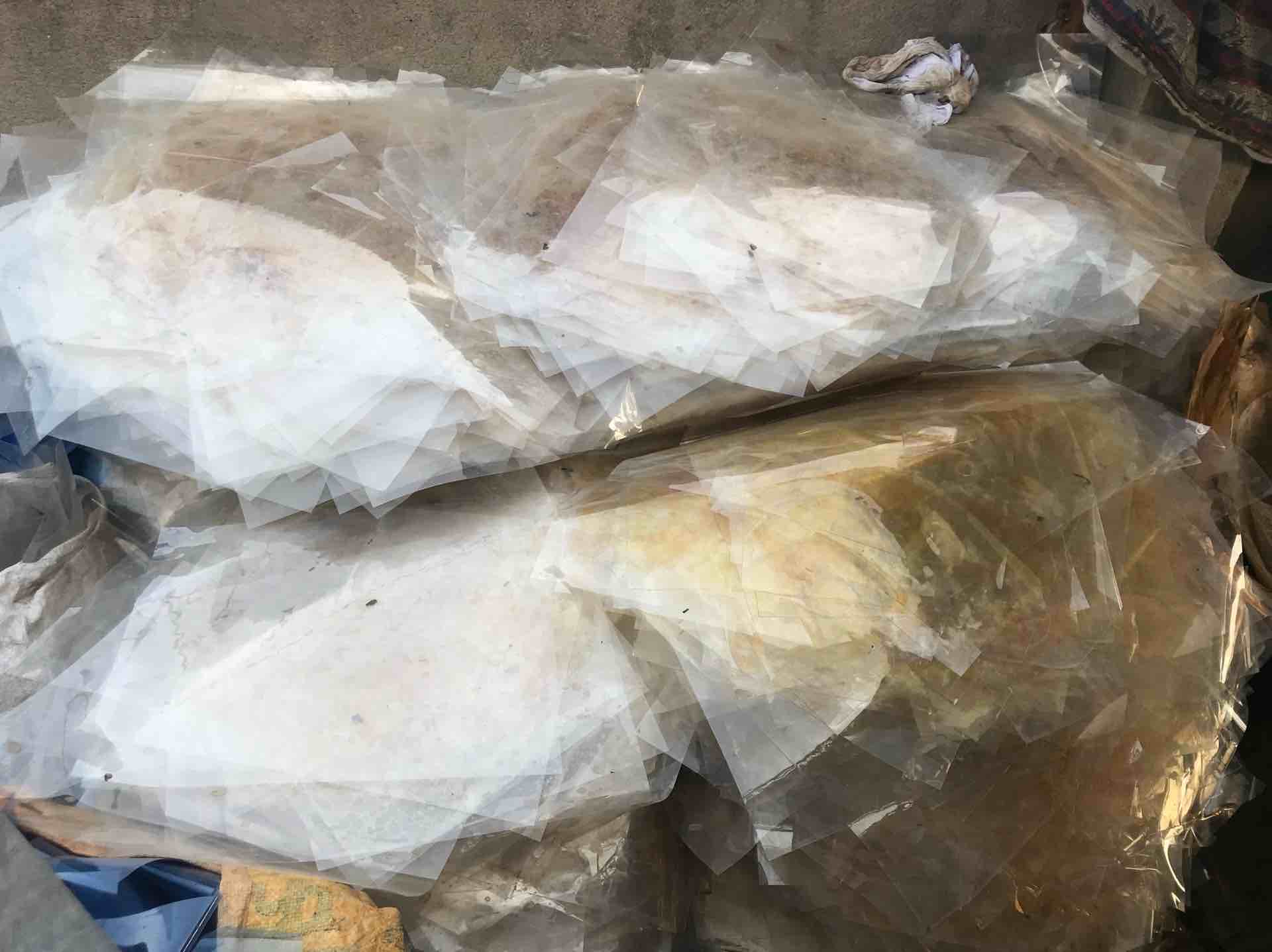 X RAY FILM WASTE POLYESTER Grinding Scrap Sheet Film Grade delhi delhi india Plastic4trade Plastic4trade