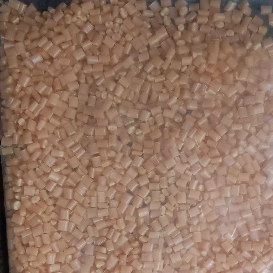 Ganga Singh