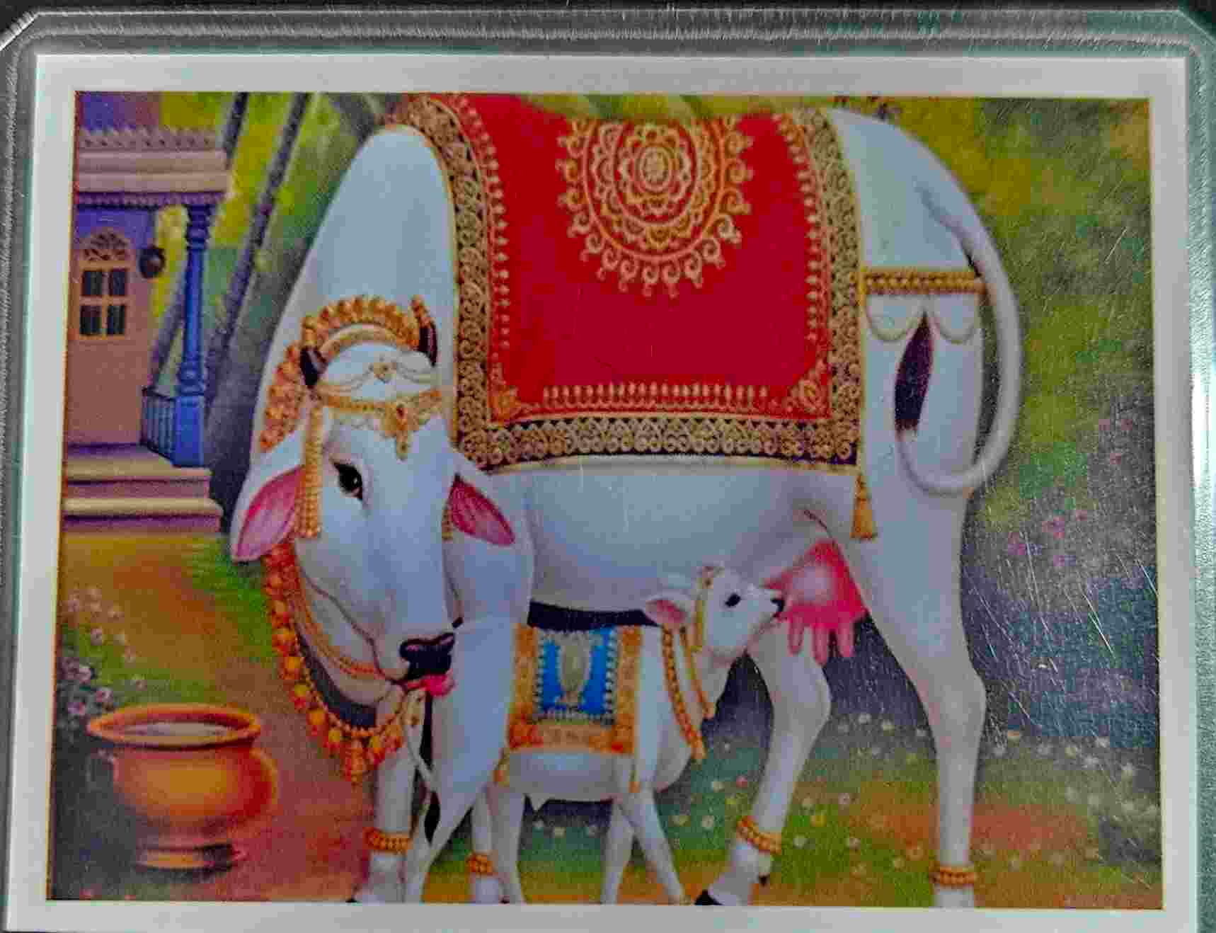 Gopi Bothra