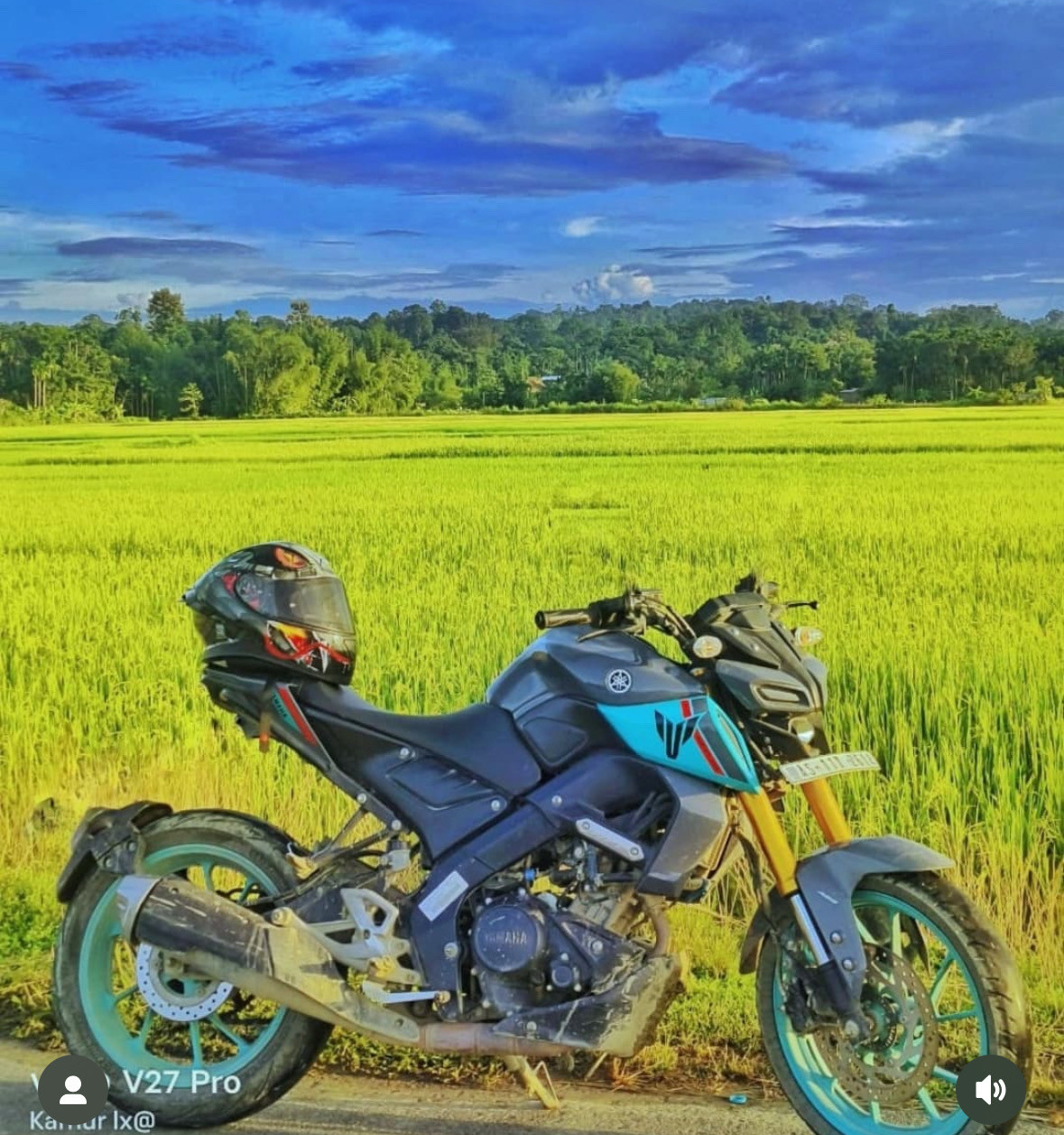 Gulsan