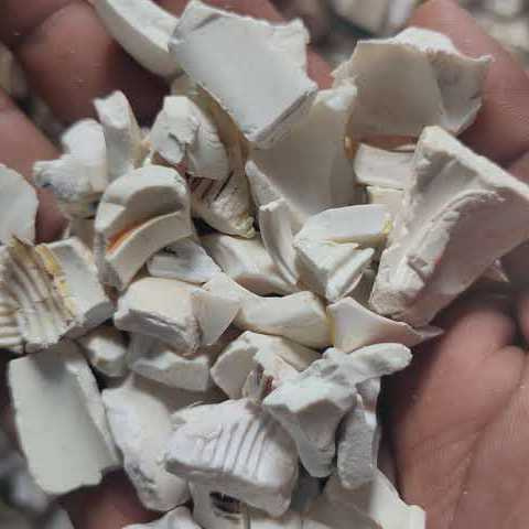 Ravsaheb Sagar