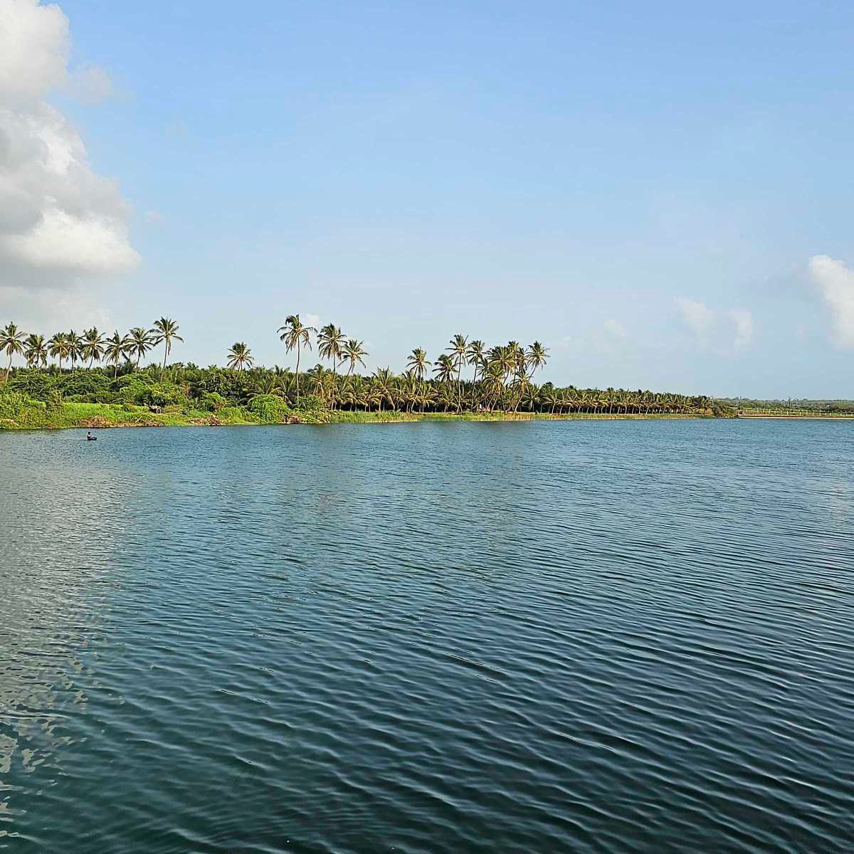 Rupesh