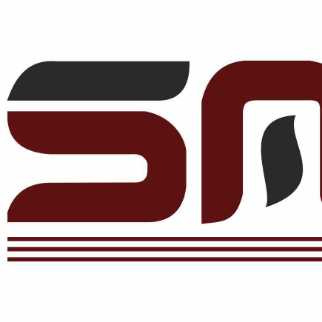 Satz International