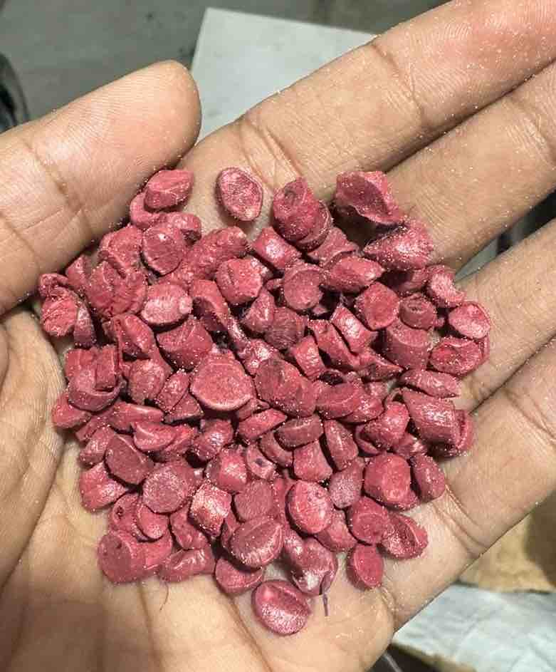Saiyam Bindal