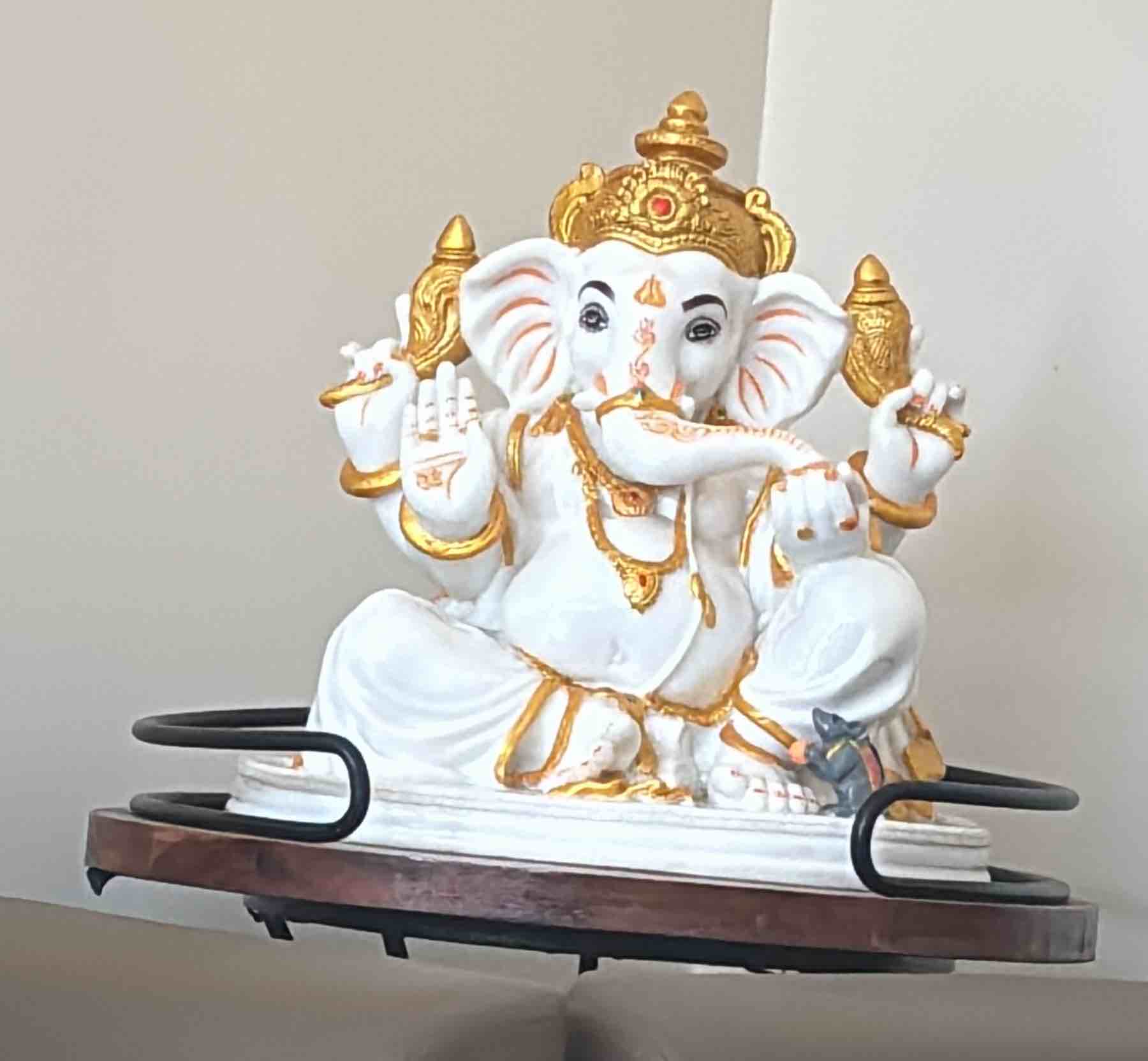 Vikas Fagna